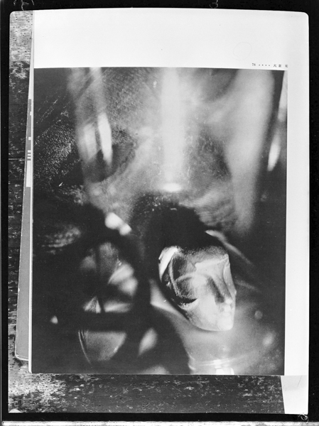 Untitle (copied from photo magazine KOGA)