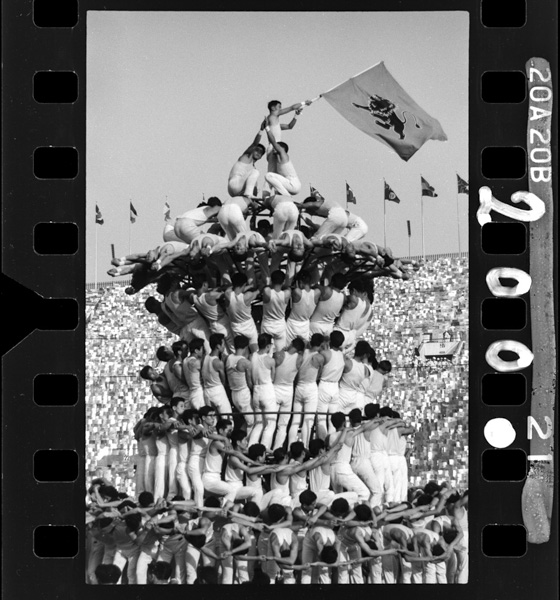 Soukagakkaitoukyoudaibunkasai