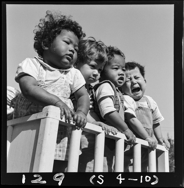 Hinatabokkosurukojitachi