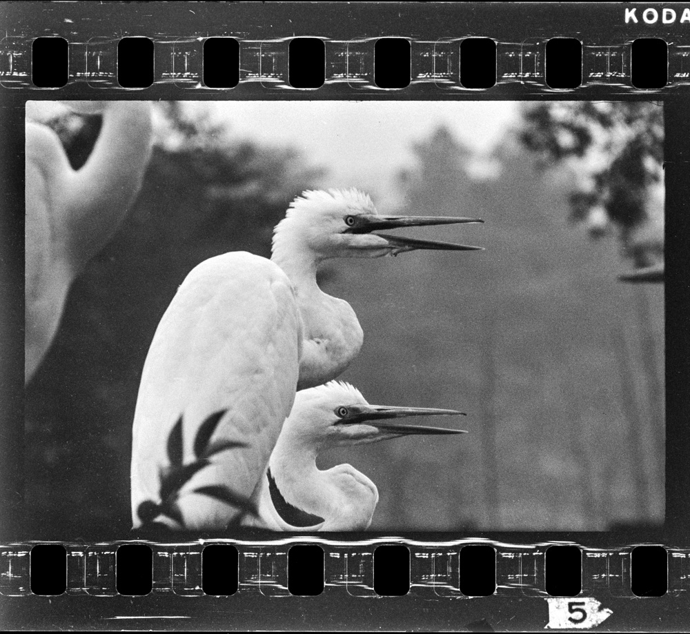 Takedakeshiku seikannokiminagiruwakadorinosugatādaga madasudachinojiyuuhayurusareteinai。