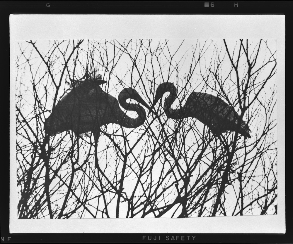 「しらさぎ」掲載 00003-00651-0001