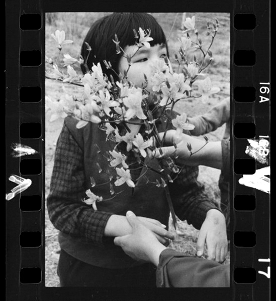 「生の証人たち 川上重治写真集」掲載 00005-00090-0032