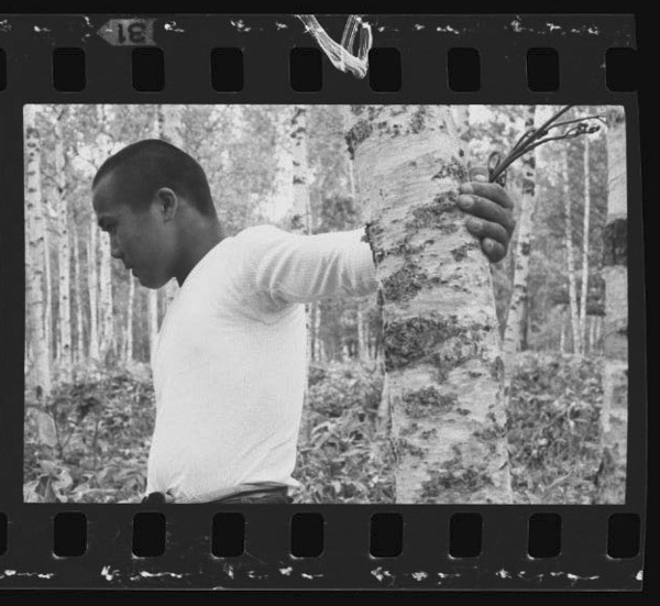 「生の証人たち 川上重治写真集」掲載 00005-00111-0024