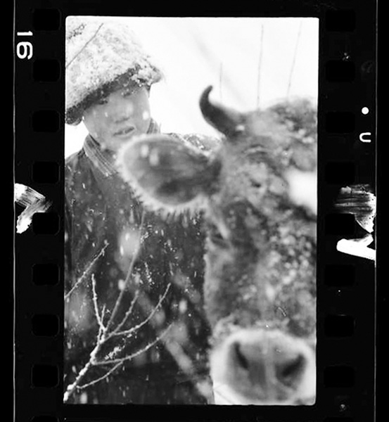 「生の証人たち 川上重治写真集」掲載 00005-00182-0011