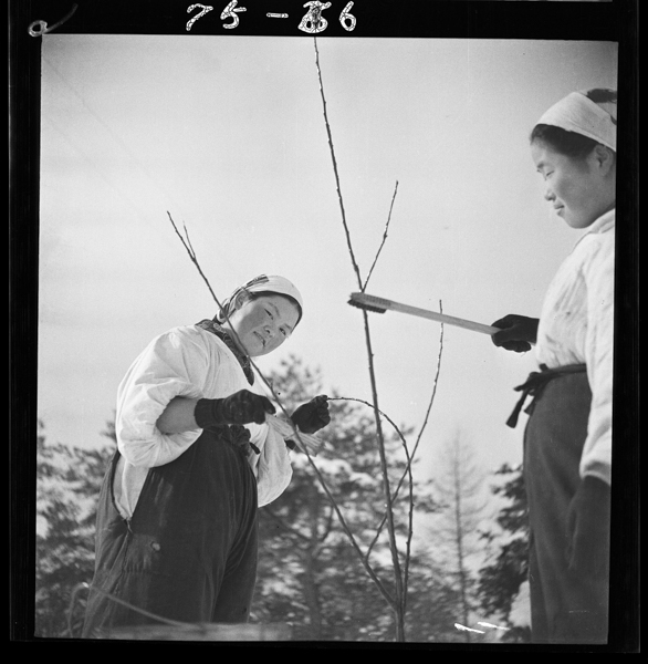 Tachiagarunousonseinen