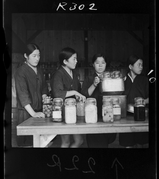 Kajitsushunadonoukanohozonshokuzukurinojisshuu。