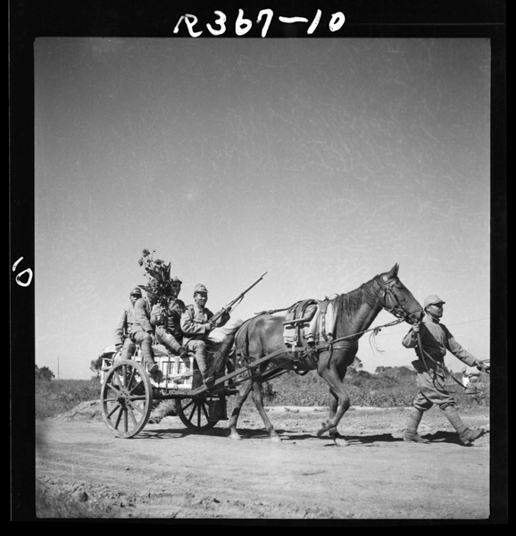 Shanhaihakengunnonihonheishi。