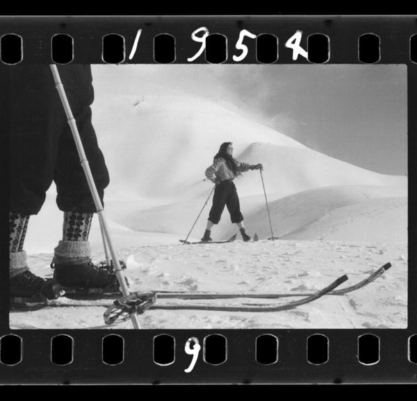 Sukīnoshashinnohouhasengonofasshonshashinmitainitottemasune。