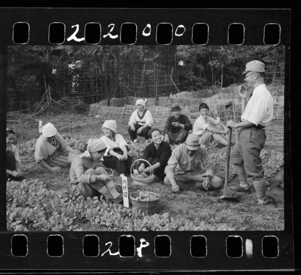 隣組で郊外の農家の畑を借りて共同菜園を開き、食糧増産を手掛けた。