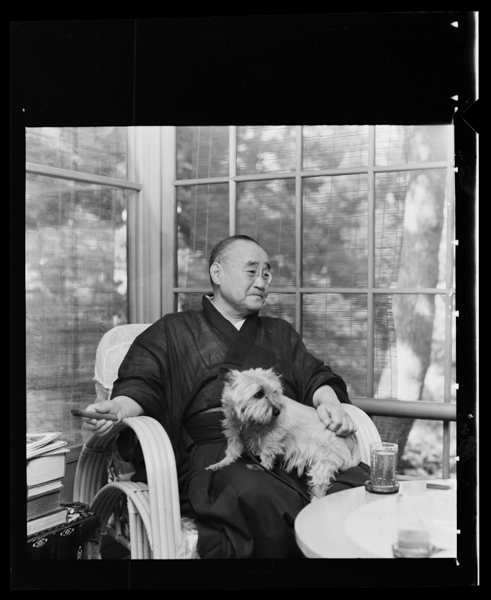 Hakonenomitsuibessounite