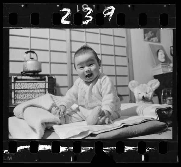 Nihyakusanjuukyuunichi