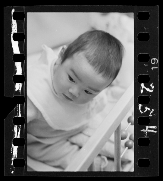 Nihyakugojuuyonnichi