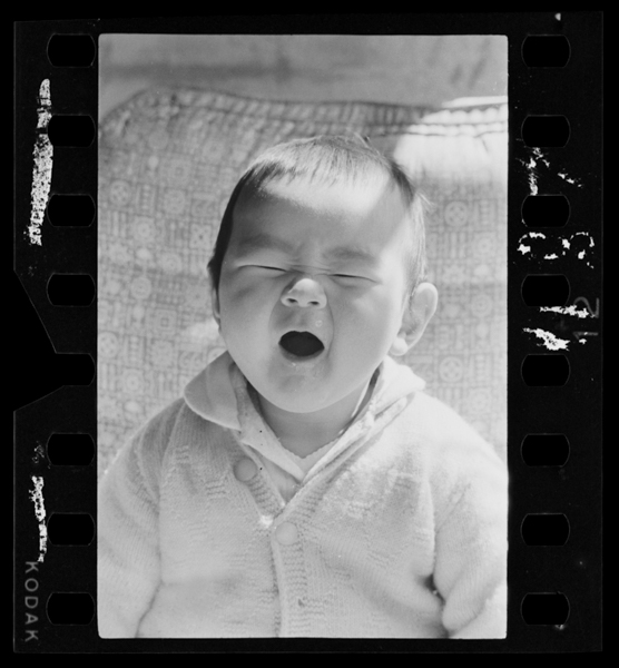 Nihyakuhachijuunichi