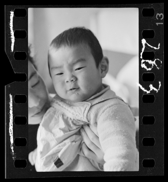 Nihyakuhachijuusannichi