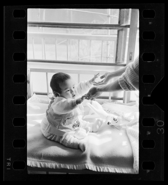 Nihyakuhachijuuhachinichi