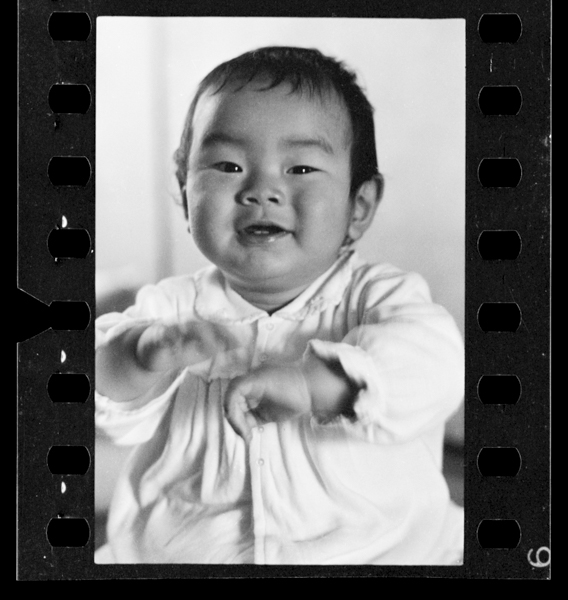 Sanbyakunijuuichinichi