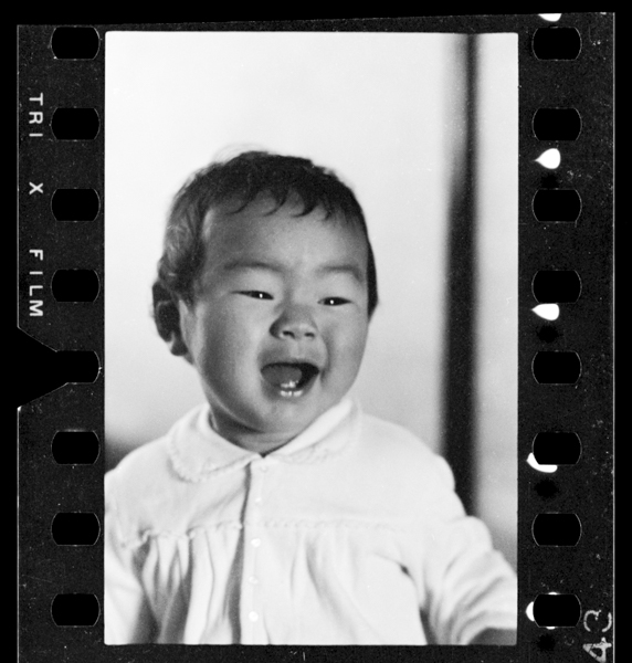 Sanbyakunijuuichinichi