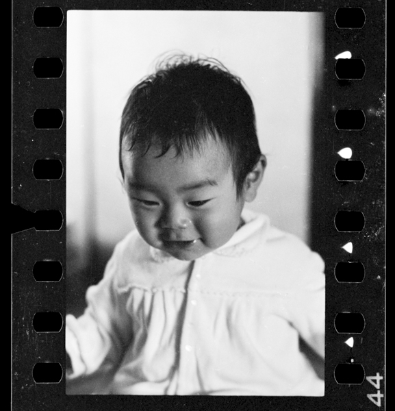 Sanbyakunijuuichinichi