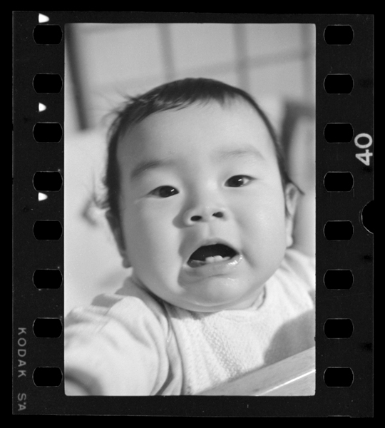 Sanbyakusanjuuichinichi