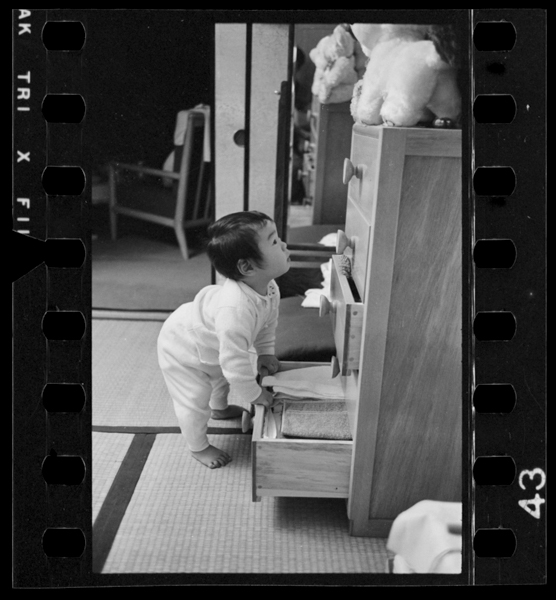 Sanbyakugojuuichinichi