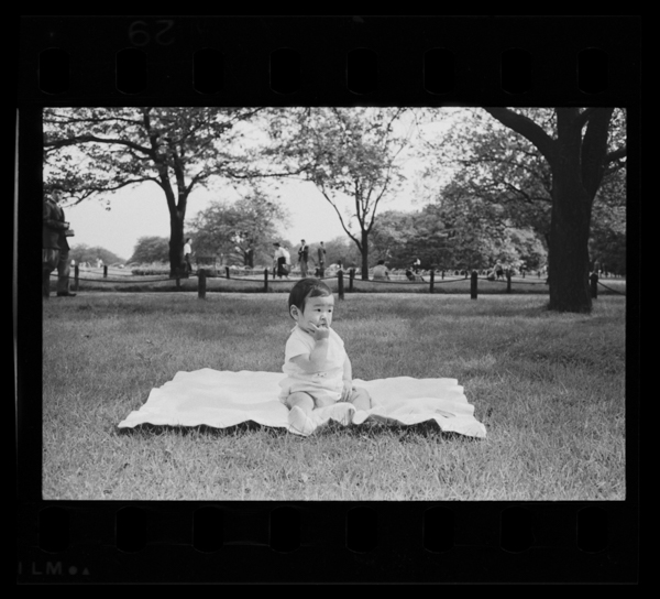 Sanbyakurokujuuichinichi