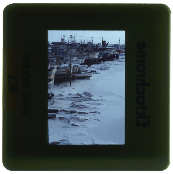 Hyouketsushitaabashirikou