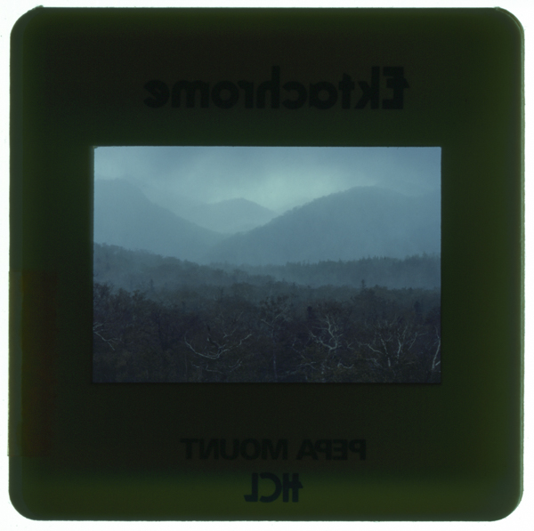 みぞれ降る知床峠