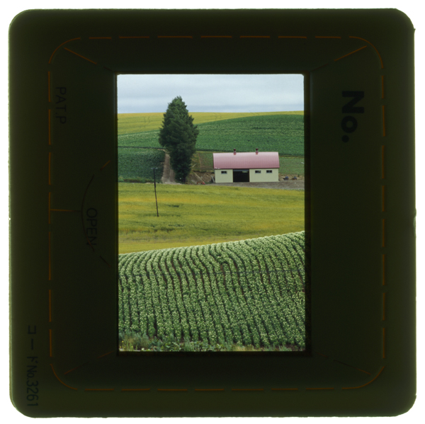 Hirogarukouchi kamifurano