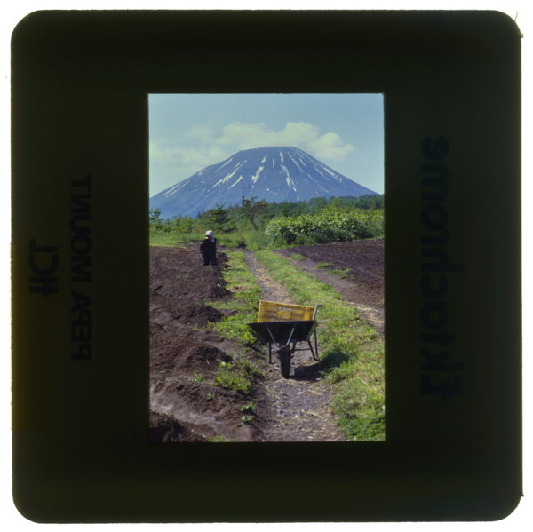 Asuparabataketoyouteizan rusutsu