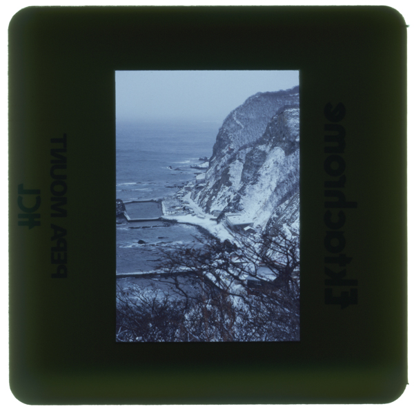 Koorumisaki tappimisaki