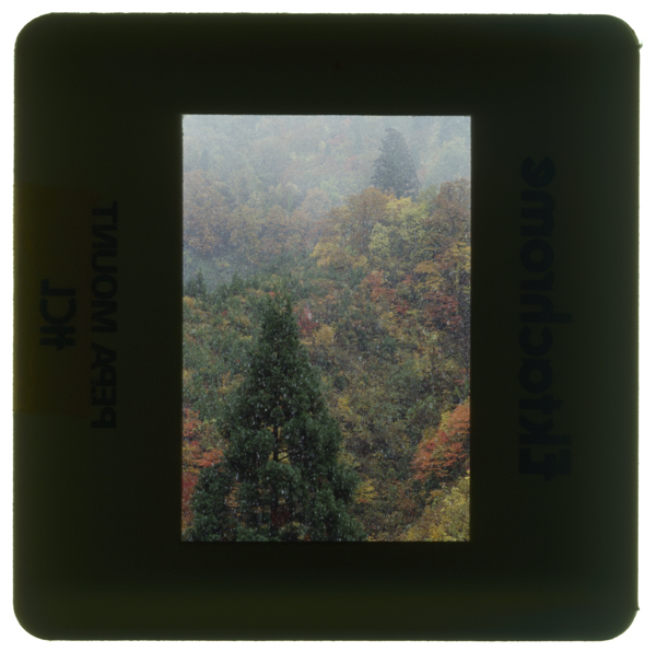 Yukigafuru sakanashitougekokudou282gou