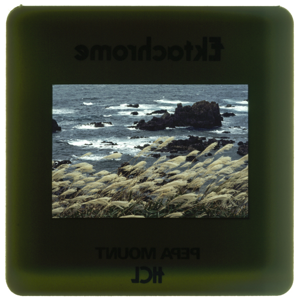 入道崎の岩礁 男鹿半島