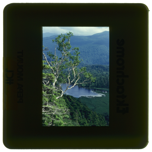 夜沼 八幡平アスピーテライン