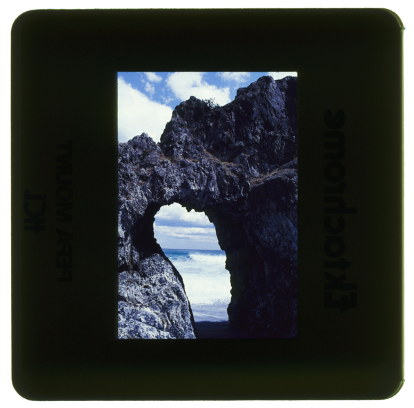 Mizushirisakinoganshou rikuchuukaigan