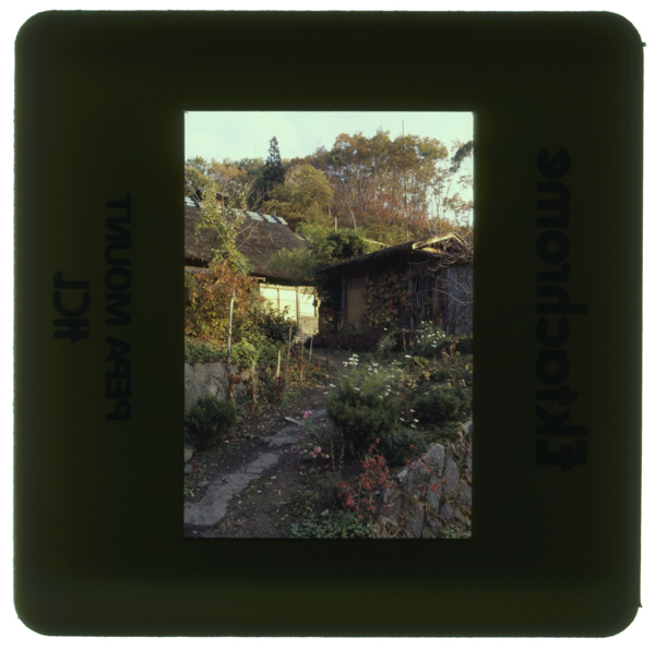 Noukanoniwasaki kotakikaidou