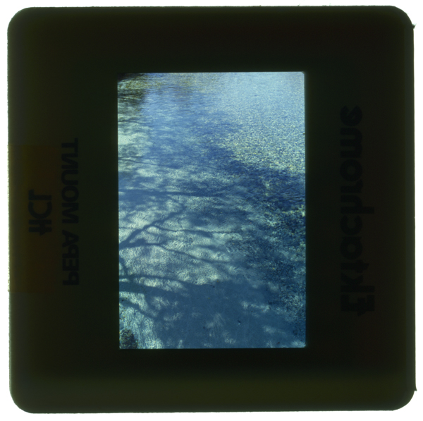 Seiryuu kamikouchiazusagawa