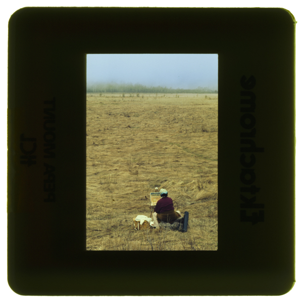 Suketchiwosuruhito nikkousenjougahara