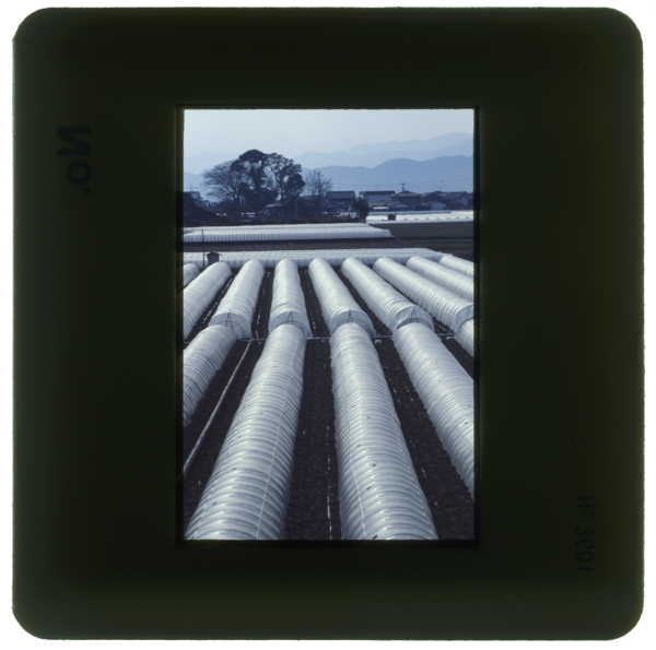 Binīrusaibai tokushimakenishiichounite