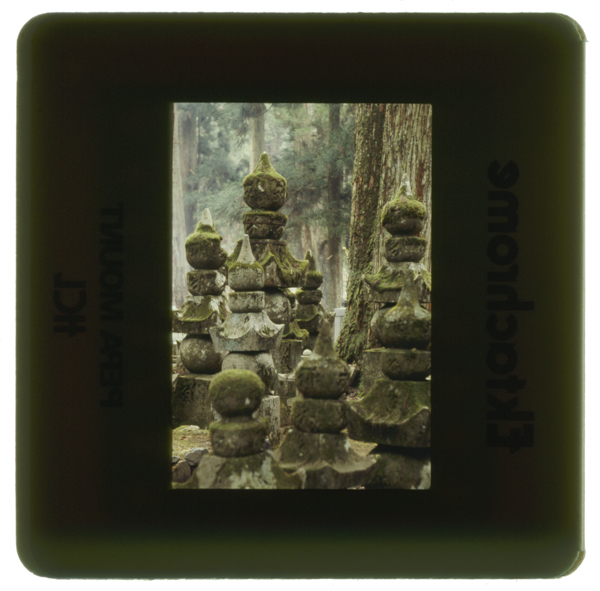 Kokemusuhakaishi kouyasanokunoinsandou