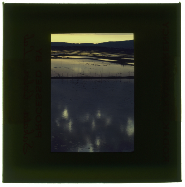 Zanshou sadokuninakaheiyanosuiden