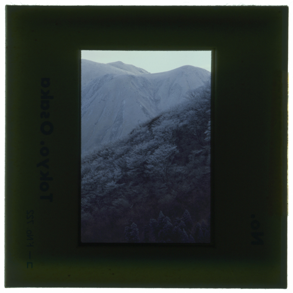 霧氷 牧ノ戸峠 背後は三俣山