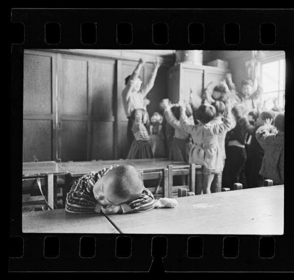 Nikoyonnokohoikuennite