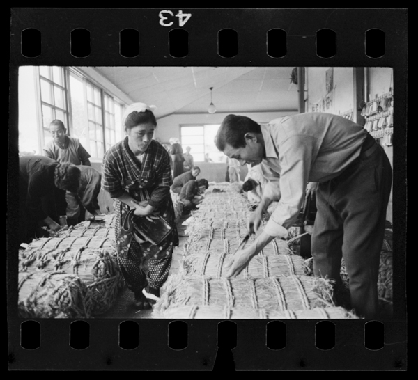 Kyoushutsumaihinshitsukensa