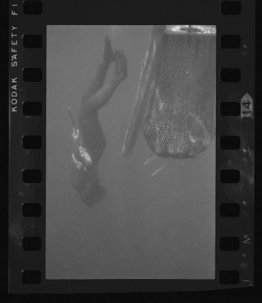 Buiwotsukaunodetsuideniitchakka(sukari)mosorenitsurushi sutenresuseinoshizugane(awabigane) deawabi tokobushi sazae unitoteatarishidainitottekuru。suishinhasezei5、6mētorunotokoroda