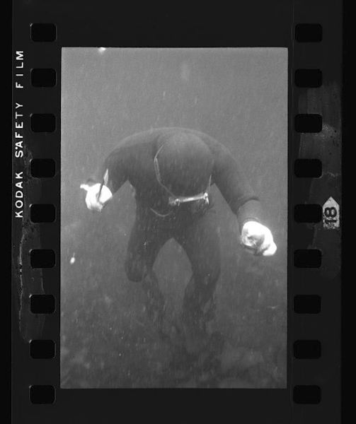 Buiwotsukaunodetsuideniitchakka(sukari)mosorenitsurushi sutenresuseinoshizugane(awabigane) deawabi tokobushi sazae unitoteatarishidainitottekuru。suishinhasezei5、6mētorunotokoroda