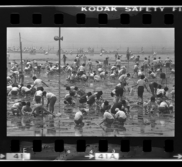 「日本方言図鑑」掲載 00010-00037-0010