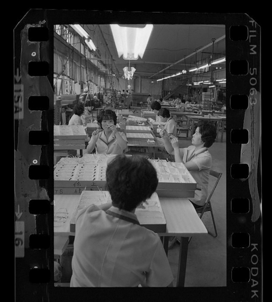 「日本方言図鑑」掲載 00010-00041-0019