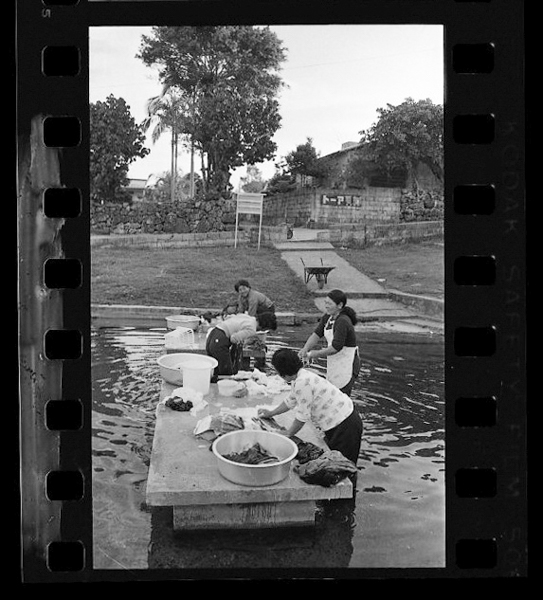 「日本方言図鑑」掲載 00010-00045-0024