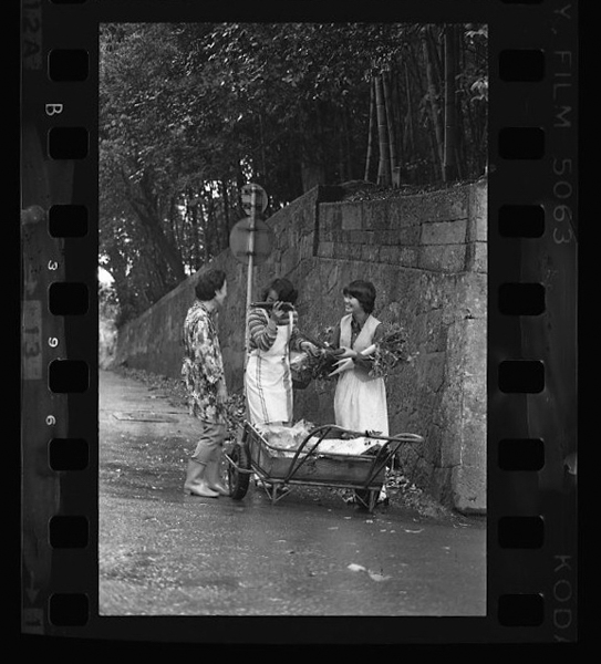 「日本方言図鑑」掲載 00010-00046-0024