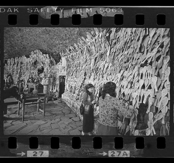 「日本方言図鑑」掲載 00010-00047-0011